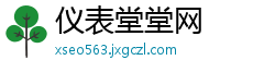 仪表堂堂网